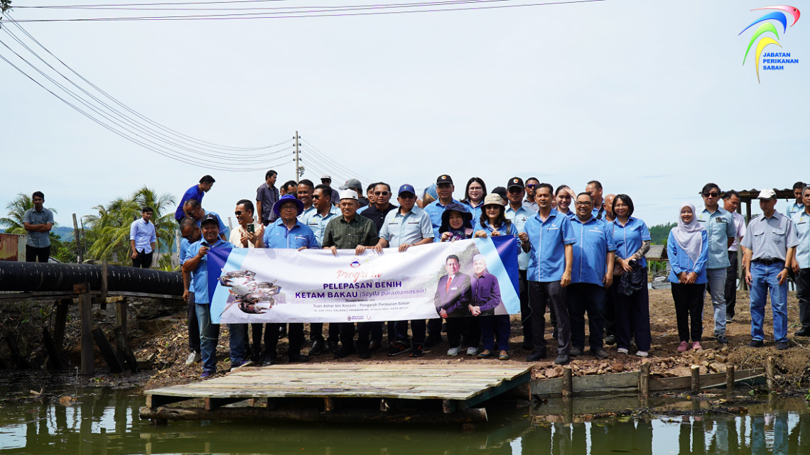 Program Pelepasan Benih Ketam Bakau Di Kampung Kuala Abai, Kota Belud