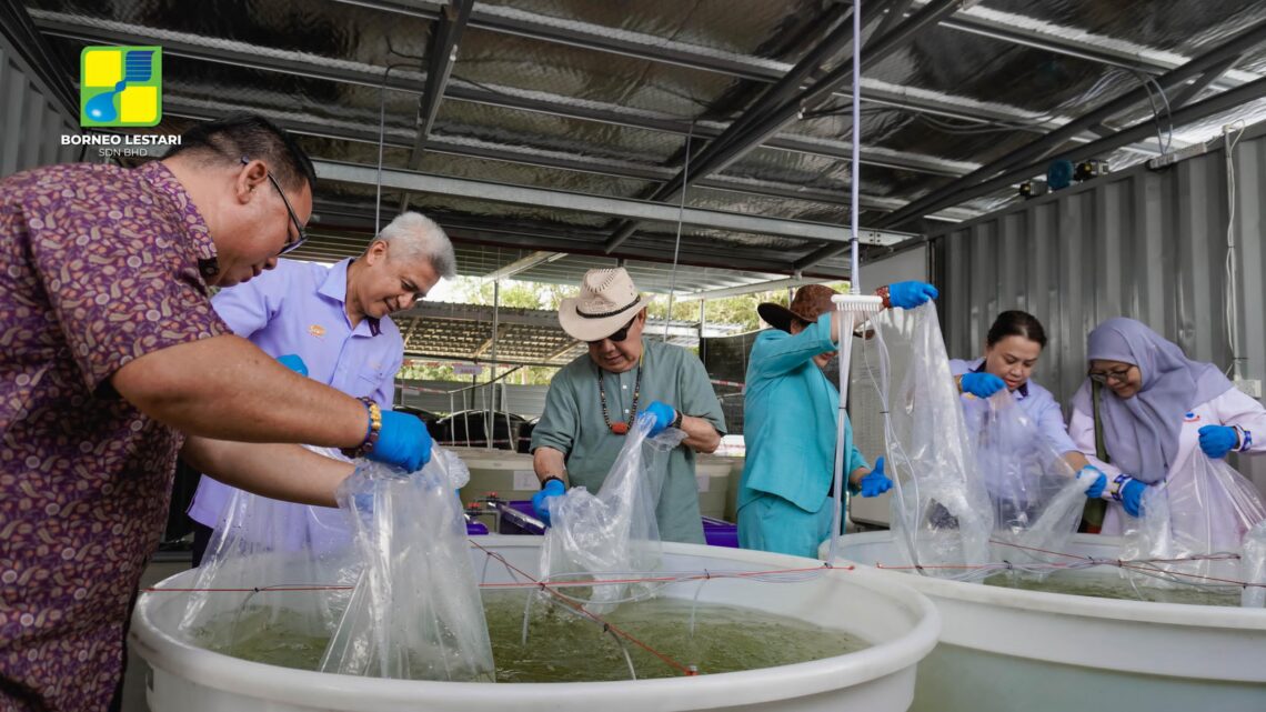 Projek RAS Barramundi-Sawit Kinabalu & Borneo Lestari Sdn. Bhd.