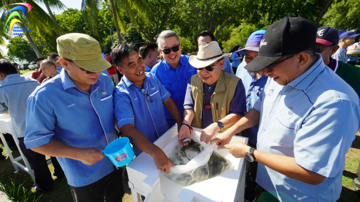 PROGRAM PELEPASAN BENIH IKAN SIAKAP