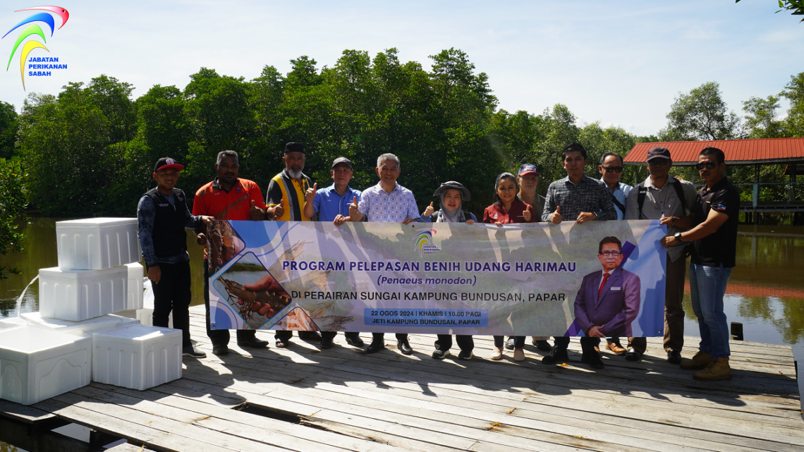 PROGRAM PELEPASAN BENIH UDANG HARIMAU (Penaeus monodon) DI PERAIRAN SUNGAI KAMPUNG BUNDUSAN, PAPAR