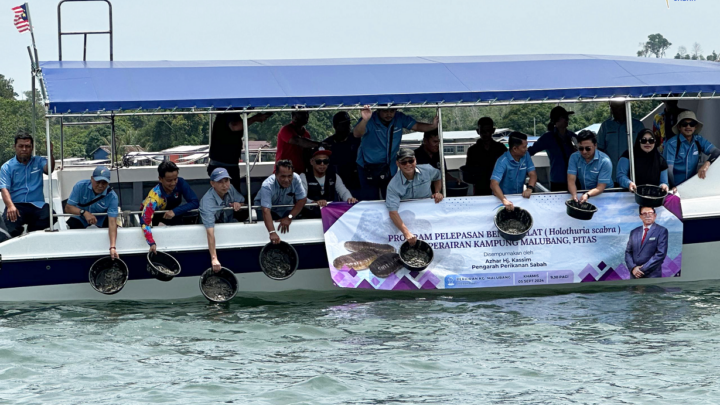 PROGRAM PELEPASAN BENIH BALAT (Holothuria scabra) DI PERAIRAN KAMPUNG MALUBANG, PITAS