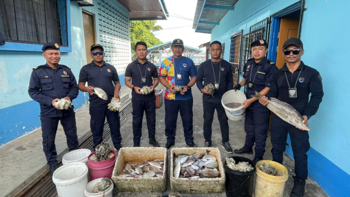 Unit Penguatkuasaan Pangkalan Utama Wilayah Tawau telah melaksanakan satu siri operasi yang dinamakan Ops. Todak di daerah Semporna.
