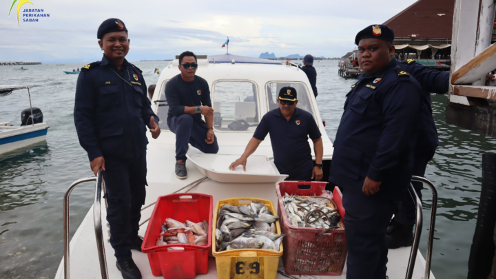 OPS. Todak telah dilaksanakan oleh Pangkalan Utama Wilayah Tawau bermula 14 sehingga 17 Januari 2025 di daerah Semporna.