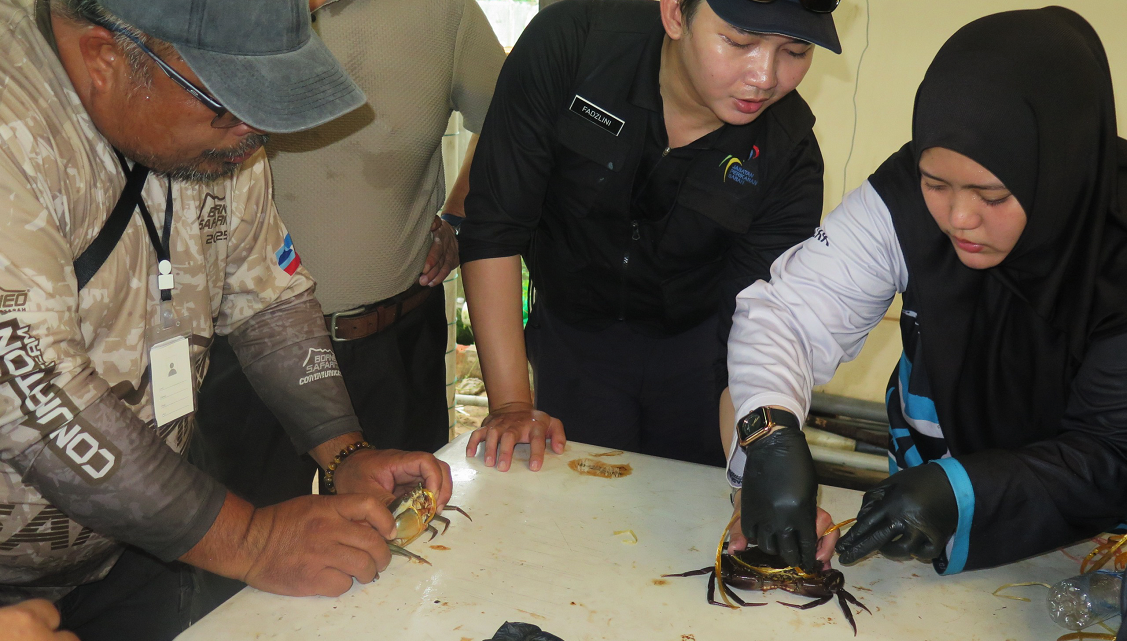 KURSUS ASAS TERNAKAN KETAM BAKAU PERKASA PENGETAHUAN DAN KEMAHIRAN PESERTA