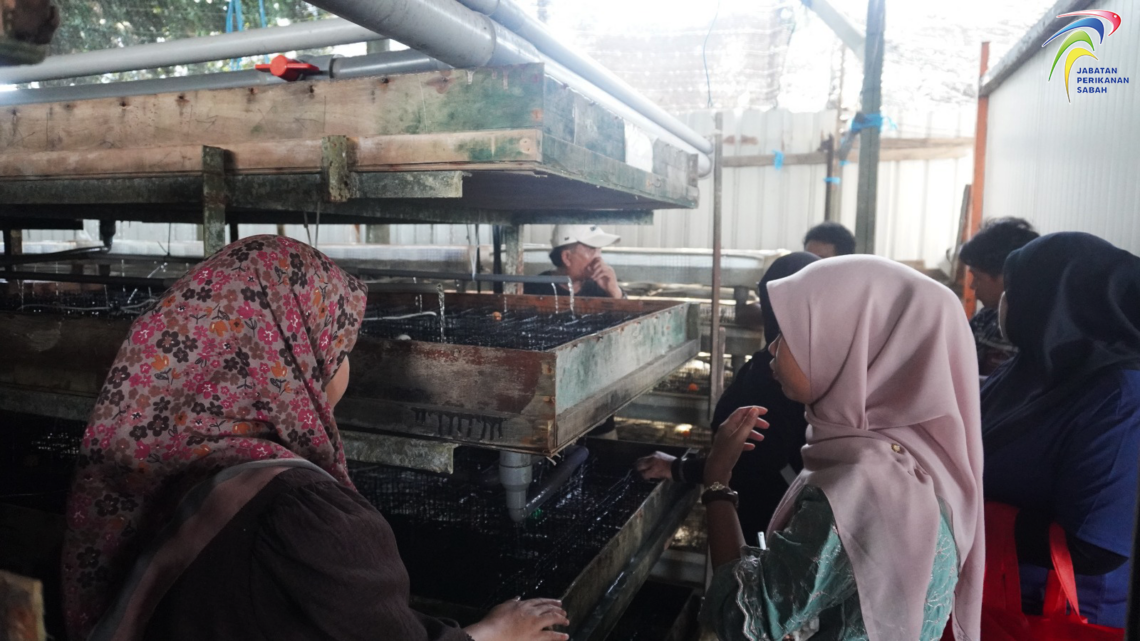 Program Pendedahan Teknikal Di Lapangan