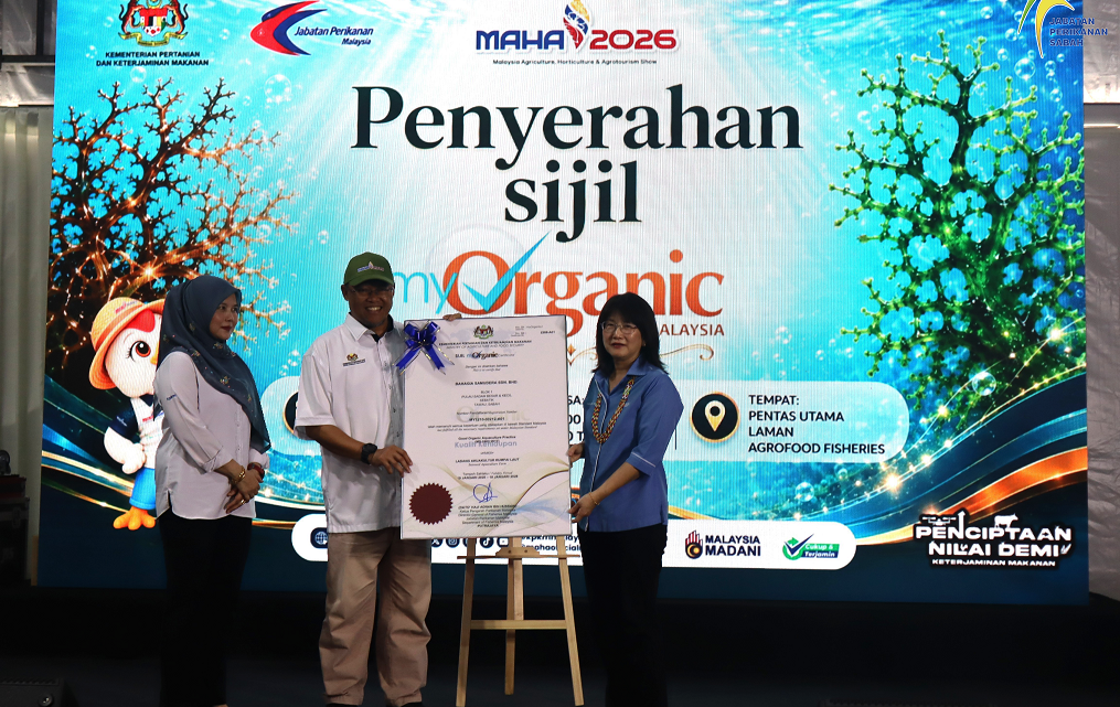 MAHA 2026 – DAY 6