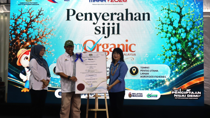 MAHA 2026 – DAY 6