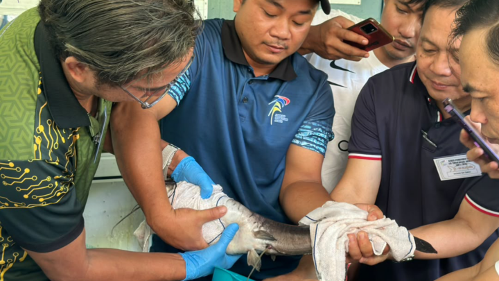 MEMPERKASA KEMAHIRAN PEMBENIHAN IKAN AIR TAWAR SECARA ARUHAN